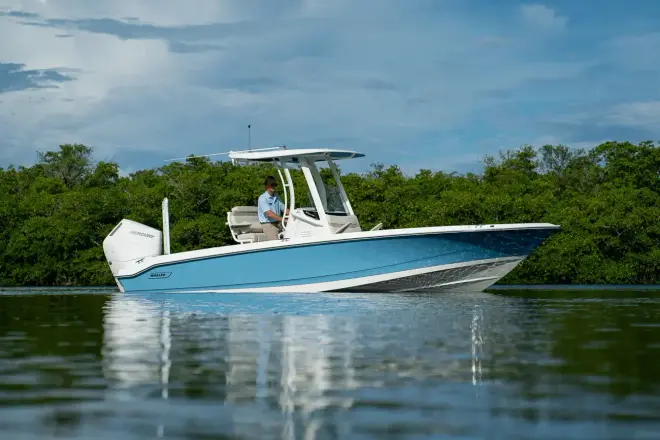 Boston Whaler 250 Dauntless