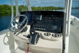 Thumbnail von Boston Whaler 250 Dauntless