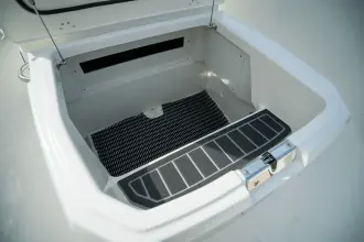 Thumbnail von Boston Whaler 250 Dauntless