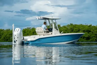 Thumbnail von Boston Whaler 250 Dauntless