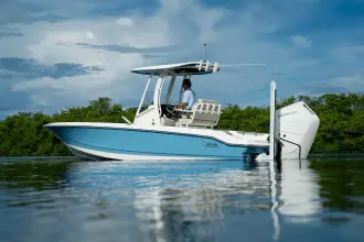 Thumbnail von Boston Whaler 250 Dauntless