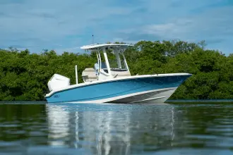 Thumbnail von Boston Whaler 250 Dauntless