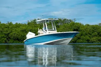 Thumbnail von Boston Whaler 250 Dauntless