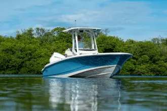 Thumbnail von Boston Whaler 250 Dauntless