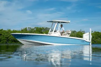 Thumbnail von Boston Whaler 250 Dauntless