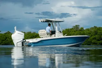 Thumbnail von Boston Whaler 250 Dauntless
