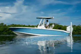Thumbnail von Boston Whaler 250 Dauntless