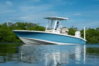 Thumbnail von Boston Whaler 250 Dauntless