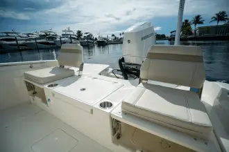 Thumbnail von Boston Whaler 250 Dauntless