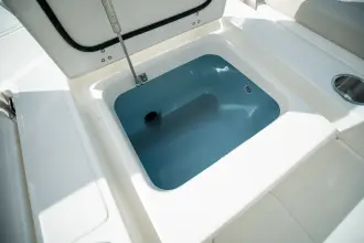 Thumbnail von Boston Whaler 250 Dauntless