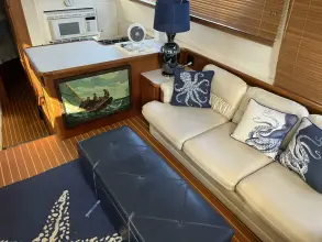 Thumbnail von Carver 440 Aft Cabin Motor Yacht Grace