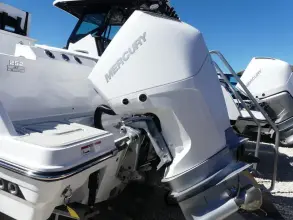 Thumbnail von Blackfin 252 CC