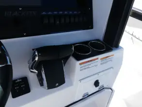 Thumbnail von Blackfin 252 CC