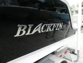 Thumbnail von Blackfin 252 CC