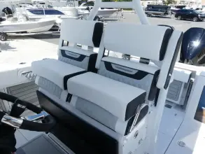 Thumbnail von Blackfin 272 CC