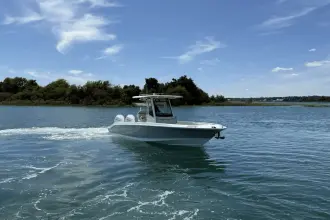 Thumbnail von Boston Whaler 280 Dauntless