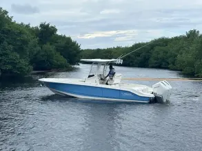 Thumbnail von Boston Whaler 280 Dauntless