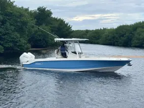 Thumbnail von Boston Whaler 280 Dauntless