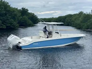 Thumbnail von Boston Whaler 280 Dauntless