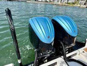 Thumbnail von Everglades 273 CC