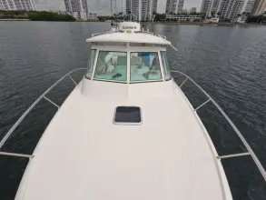 Thumbnail von Pursuit Drummond Island Runner 34