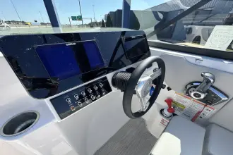 Thumbnail von Sea Ray SDX 250 Surf