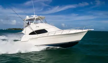 Thumbnail von Bertram 450 Convertible