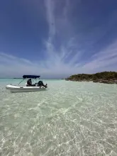 Thumbnail von Leopard 46 Powercat  WANDER TWINS