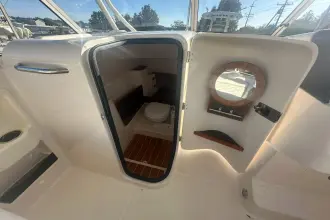 Thumbnail von Grady White Freedom 285