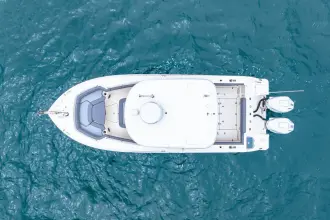 Thumbnail von Boston Whaler 250 Outrage
