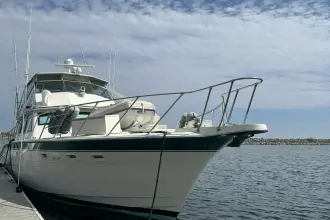 Thumbnail von Hatteras 60 Convertible