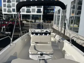 Thumbnail von Boston Whaler 170 Montauk