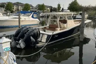 Thumbnail von Scout 350 LXF