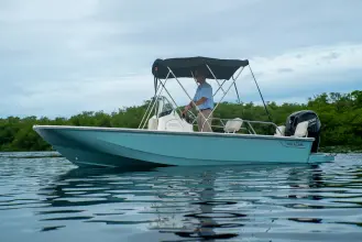 Thumbnail von Boston Whaler 170 Montauk