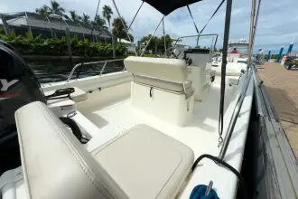 Thumbnail von Boston Whaler 170 Montauk