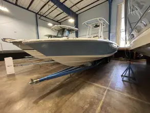 Thumbnail von Boston Whaler 250 Dauntless