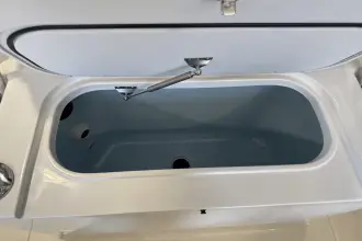 Thumbnail von Boston Whaler 250 Dauntless