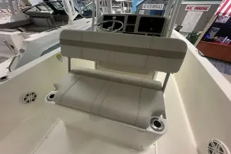 Thumbnail von Boston Whaler 250 Dauntless