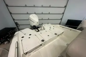 Thumbnail von Boston Whaler 250 Dauntless