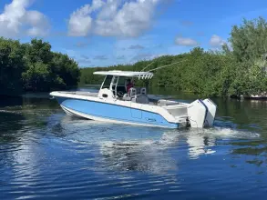Thumbnail von Boston Whaler 330 Outrage