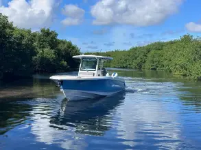 Thumbnail von Boston Whaler 330 Outrage