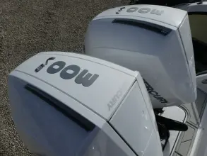 Thumbnail von Blackfin 272 CC