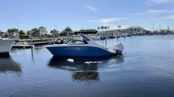 Sea Ray SDX 250 Outboard