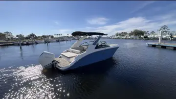 Thumbnail von Sea Ray SDX 250 Hors-bord