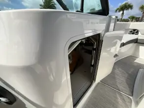 Thumbnail von Sea Ray SDX 250 Hors-bord