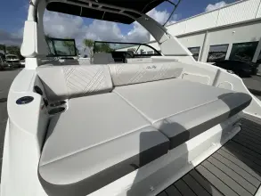 Thumbnail von Sea Ray SDX 250 Hors-bord