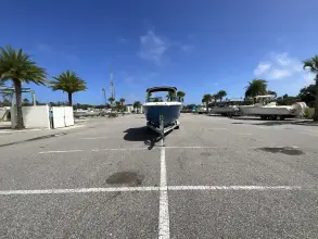 Thumbnail von Sea Ray SDX 250 Hors-bord