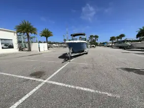 Thumbnail von Sea Ray SDX 250 Hors-bord