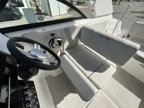 Thumbnail von Sea Ray SDX 250 Hors-bord