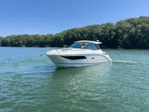 Thumbnail von Sea Ray 320 Sundancer